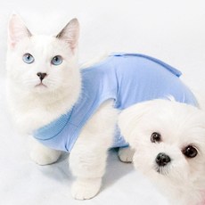 巴納里寵物便, 藍色