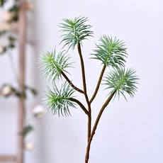 GAPANG 乾燥花 DRYE041, 綠色 03號