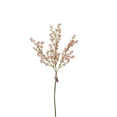 GAPANG 乾花2號 DRYE170, 粉色的