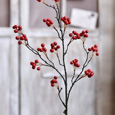 GAPANG 乾花 02 號 DRYE038, 紅色的