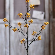 GAPANG 乾花01號 DRYE038, 黃色的