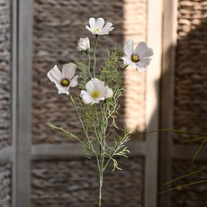 GAPANG 菊花乾花 No.01 DRYE131, 白色的