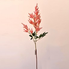GAPANG 乾燥花 01號 DRYE112, 粉紅色, 1個