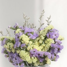 GAPANG 乾花 DRYJ018, 18 號