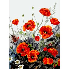 Momofix Painting DIY 名畫繪畫組 40 x 50 cm, 罌粟花田