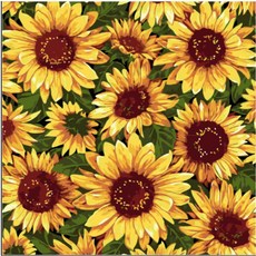 Momofix Painting DIY名畫繪製組合 40 x 40 cm, 向日葵合唱