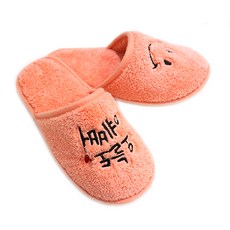 Microber 今天也漂亮 書法風極細纖維拖鞋 杏色, 1套