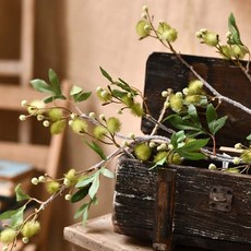 GAPANG 乾花 DRYE091, 01號（綠色）