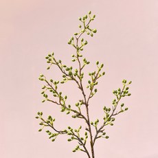 GAPANG 乾花 DRYE111, 綠色數字 03