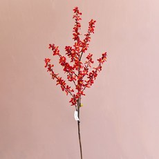 GAPANG 乾燥花 DRYE019, 2號 紅色