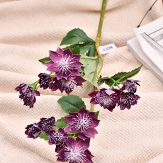 GAPANG 乾燥花 DRYE110, 07號 紫色