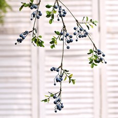 GAPANG 乾燥花 DRYE075, 04