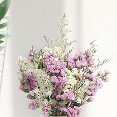 GAPANG 乾燥花 15號 DRYJ018, 混合顏色