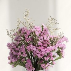 GAPANG 乾花12號 DRYJ018, 紫色的