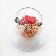 THE VOM 圓頂粉紅蛋白石康乃馨, 蜜桃珊瑚色