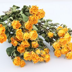 GAPANG 乾花玫瑰 DRYI030, 09黃色