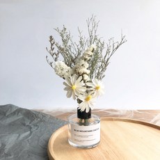 GAPANG 乾燥花 DRYD011 + 花瓶組合, 04號