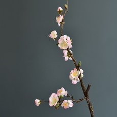 GAPANG 乾燥花 DRYE017 03號, 粉紅色