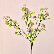 GAPANG 乾花DRYE128, 05紫