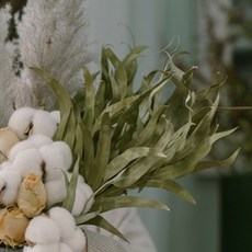 GAPANG 乾燥花, 04號 綠色