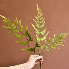 GAPANG 乾燥花 DRYE085, 05號 綠色