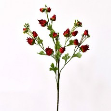 GAPANG 玫瑰乾花 DRYE119, 01紅色