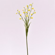 GAPANG 乾燥花花束 05號, 黃色