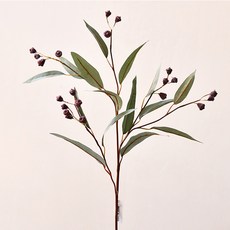 GAPANG 乾花DRYE113, 03紅色, 1個