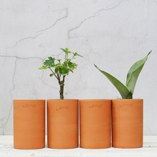 Mamas studio 纖巧杯盆 2入 + 手工陶盆 4入, 經典款, 1個