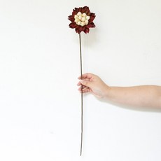 GAPANG 乾花 DRYB117, 01（菊花紅）