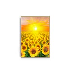 숑숑商城市集 向日葵海報, 向日葵E, 1個