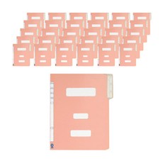 Munhwa Filing System 政府文件, 50個, 粉色的