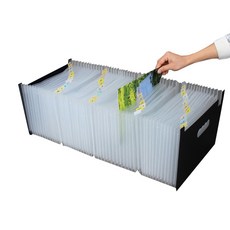 Living Tailor A4 49格擴展型風琴夾, 半透明, 1個