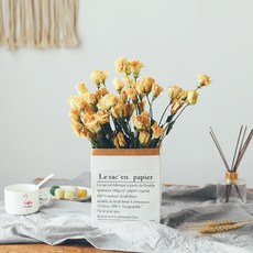 GAPANG 乾花 DRYJ051, 02黃色