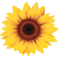 Momofix Painting DIY 名畫繪製組合 40 x 40 cm, 向日葵