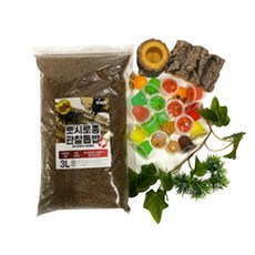 뽀시로움 리필용 관찰 집콕 키움세트, 혼합색상, 1세트