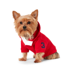 RALPH LAUREN 拉夫勞倫 POLO 小狗抓絨連帽衫 HMPOPAP56320009600, 紅色的