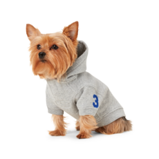 RALPH LAUREN 拉夫勞倫 POLO 小狗抓絨連帽衫 HMPOPAP56320027020, 灰色的