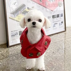 PINKMINKI 狗風衣斗篷, 紅色的