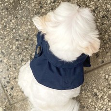 PINKMINKI 狗風衣斗篷, 海軍