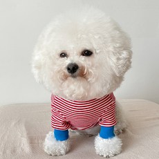 bydamsoomi Willy 狗狗T恤, 紅色