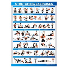 伸展居家訓練海報及其他健身配件