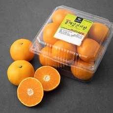 올레길 AI 당도선별 진지향, 1kg, 1개