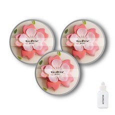 팔레트슬라임 수제 DIY 슬라임 3p + 액티베이터 30ml 세트, 스프링블룸, 1세트