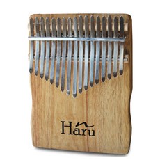 一日盤子卡林巴琴 HPK-A17CH