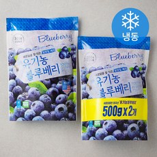 호재준 유기가공식품 인증 블루베리 (냉동), 500g, 2개