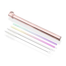 不鏽鋼彩虹吸管 2入+清洗刷 2入+金屬保護殼 玫瑰金, 1組, 5入