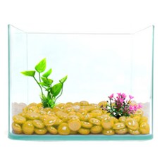 Aquatera 開放式迷你魚缸 TS30+裝飾造景石 5入, 單色（魚缸）、芥末（玻璃珠）
