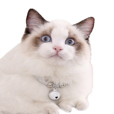 예보들 고양이 방울 목걸이, 화이트, 1개