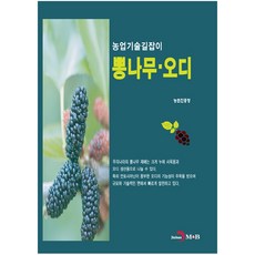 뽕나무·오디, 진한엠앤비